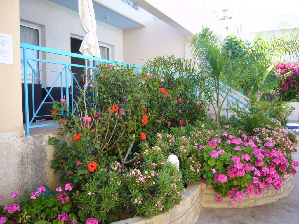 Blue Oasis Gardens Apartamento Limassol Exterior foto