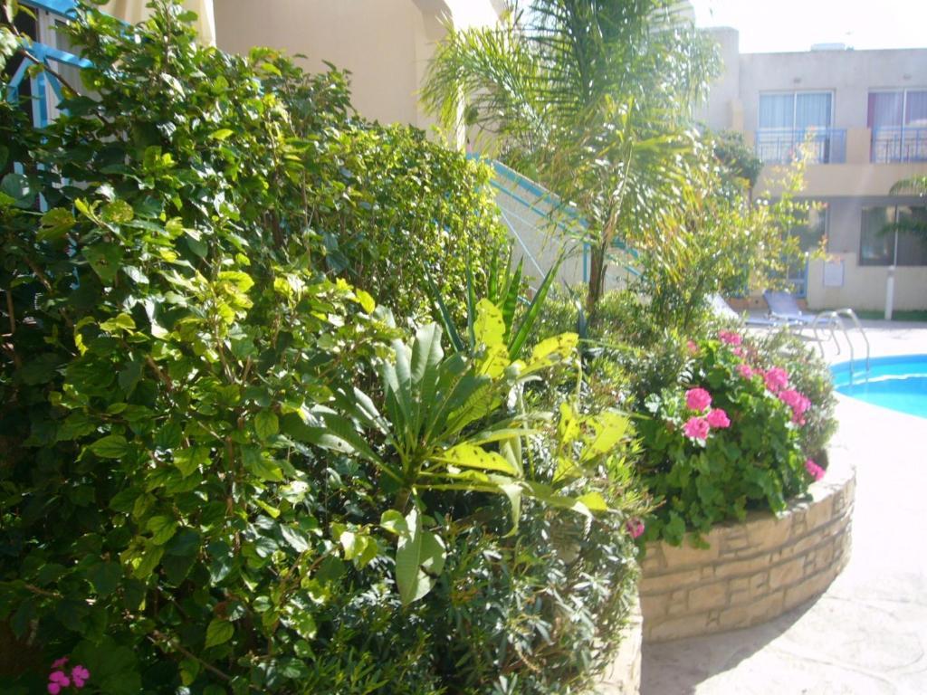 Blue Oasis Gardens Apartamento Limassol Exterior foto